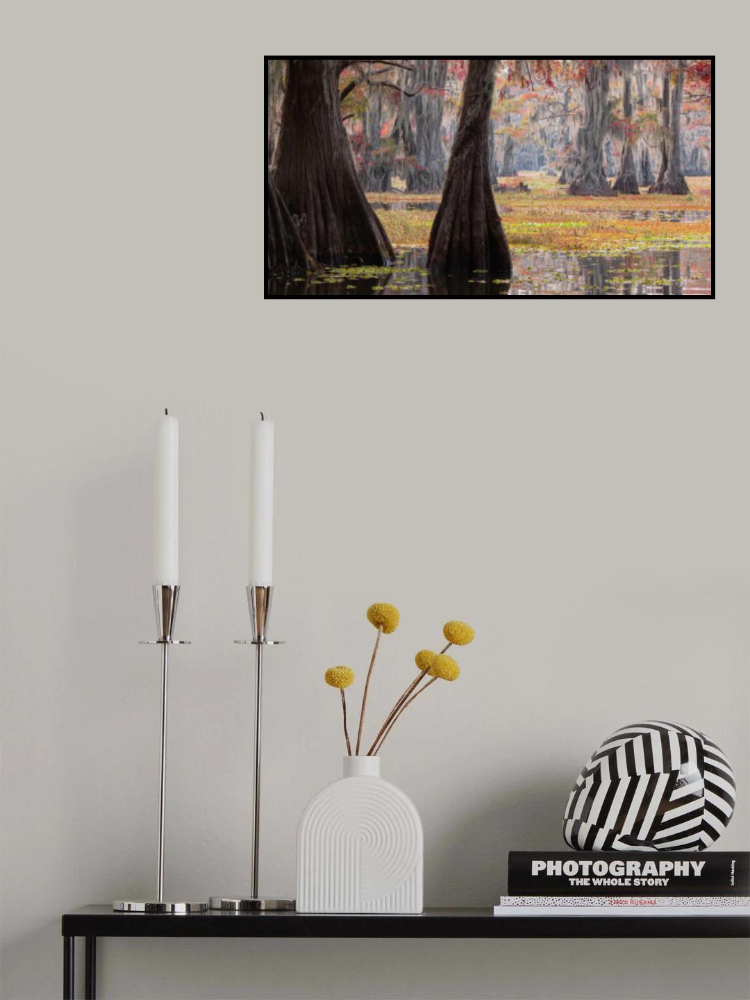 Lake Caddo Poster och Canvastavla