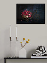 begonia flower Poster och Canvastavla