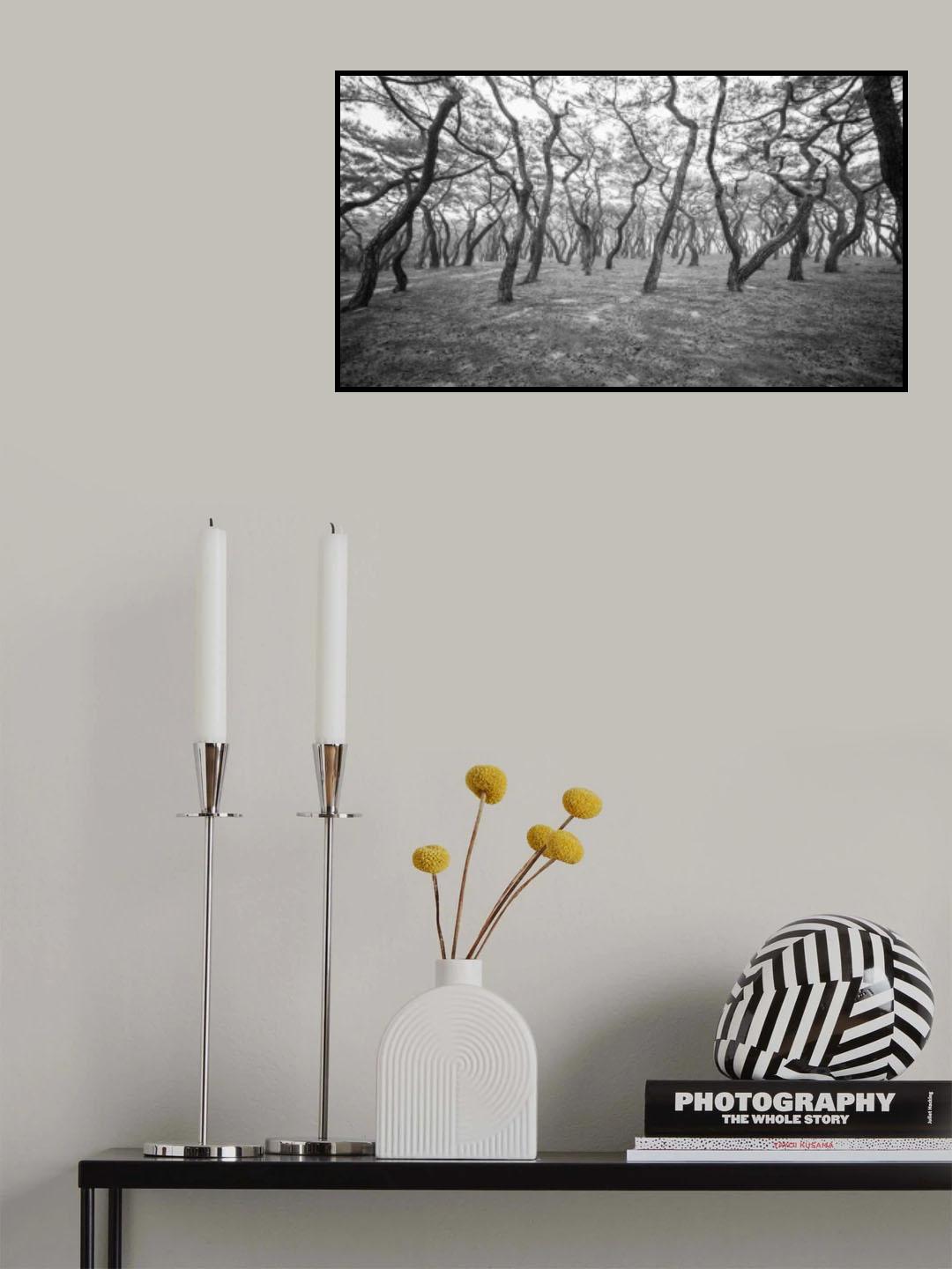 pine Poster och Canvastavla