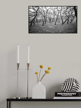 pine Poster och Canvastavla