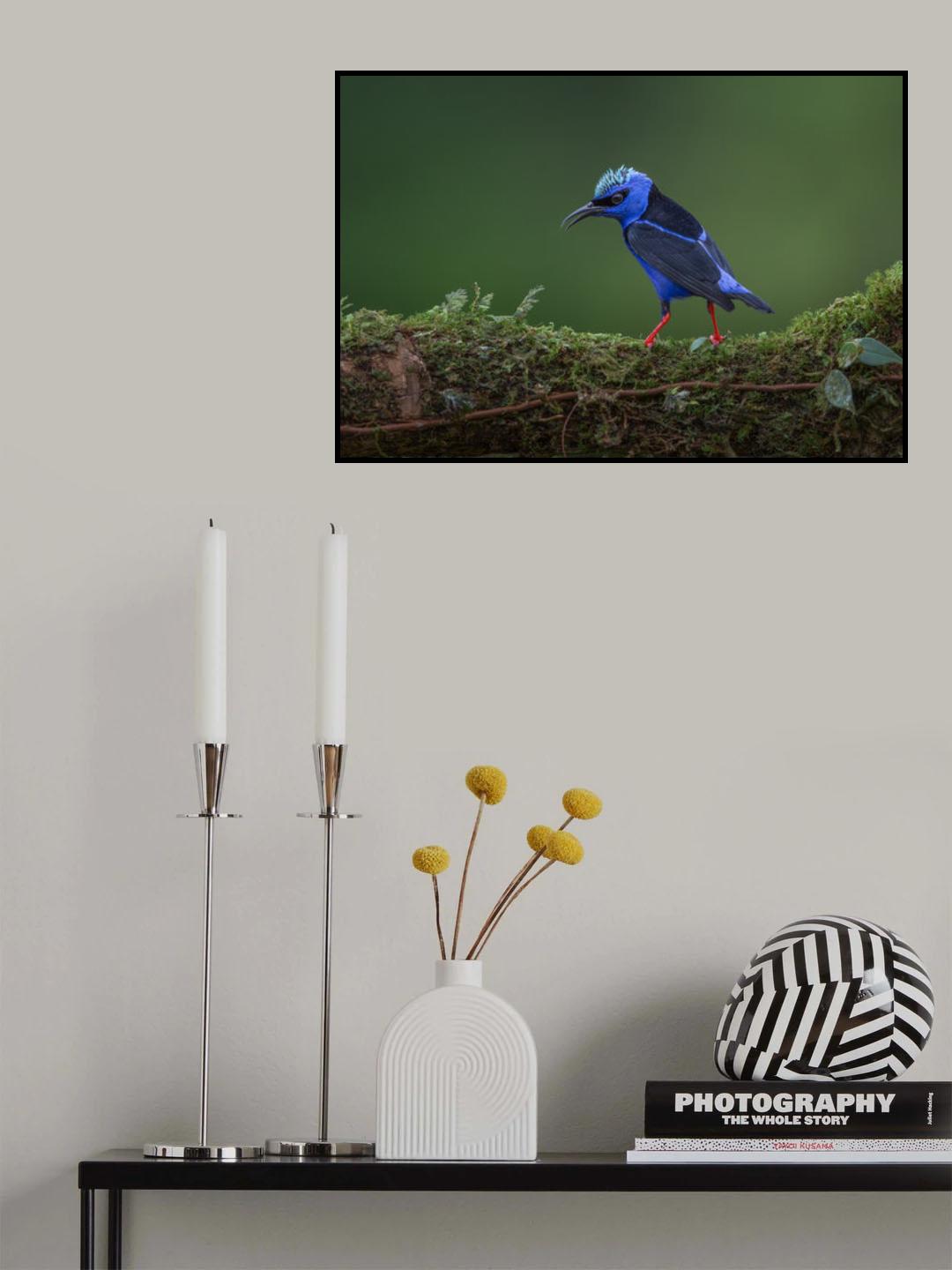 Little but fierce Poster och Canvastavla