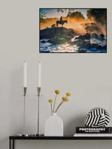 The buffalo shepherd Poster och Canvastavla
