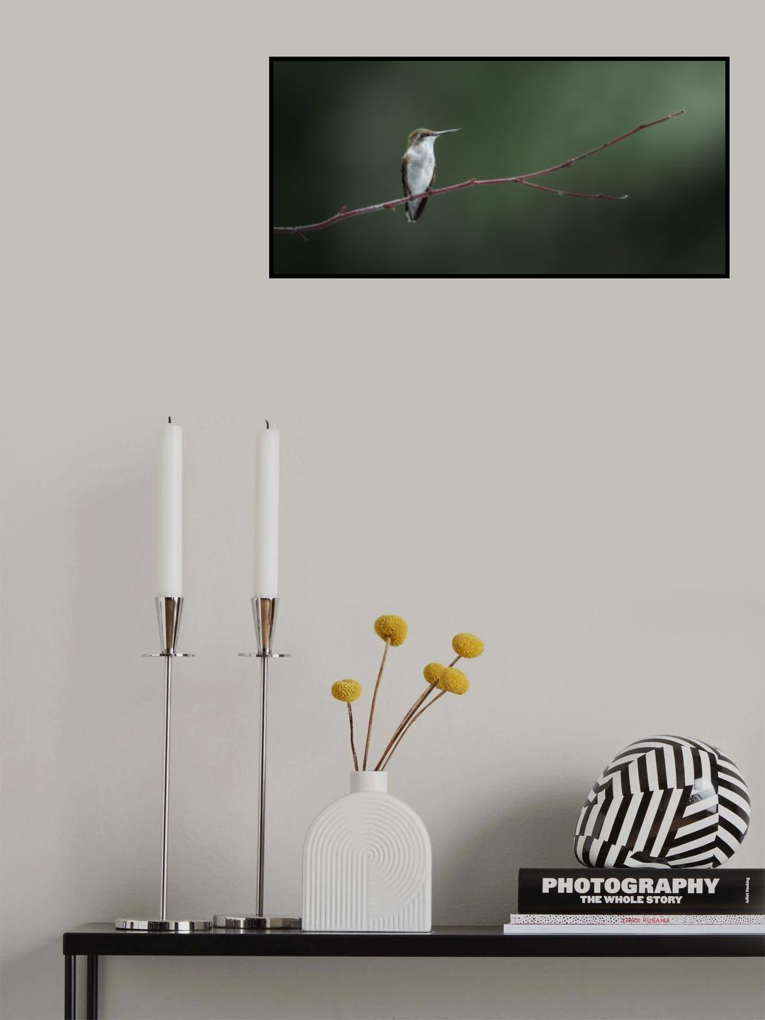 I ponder Poster och Canvastavla