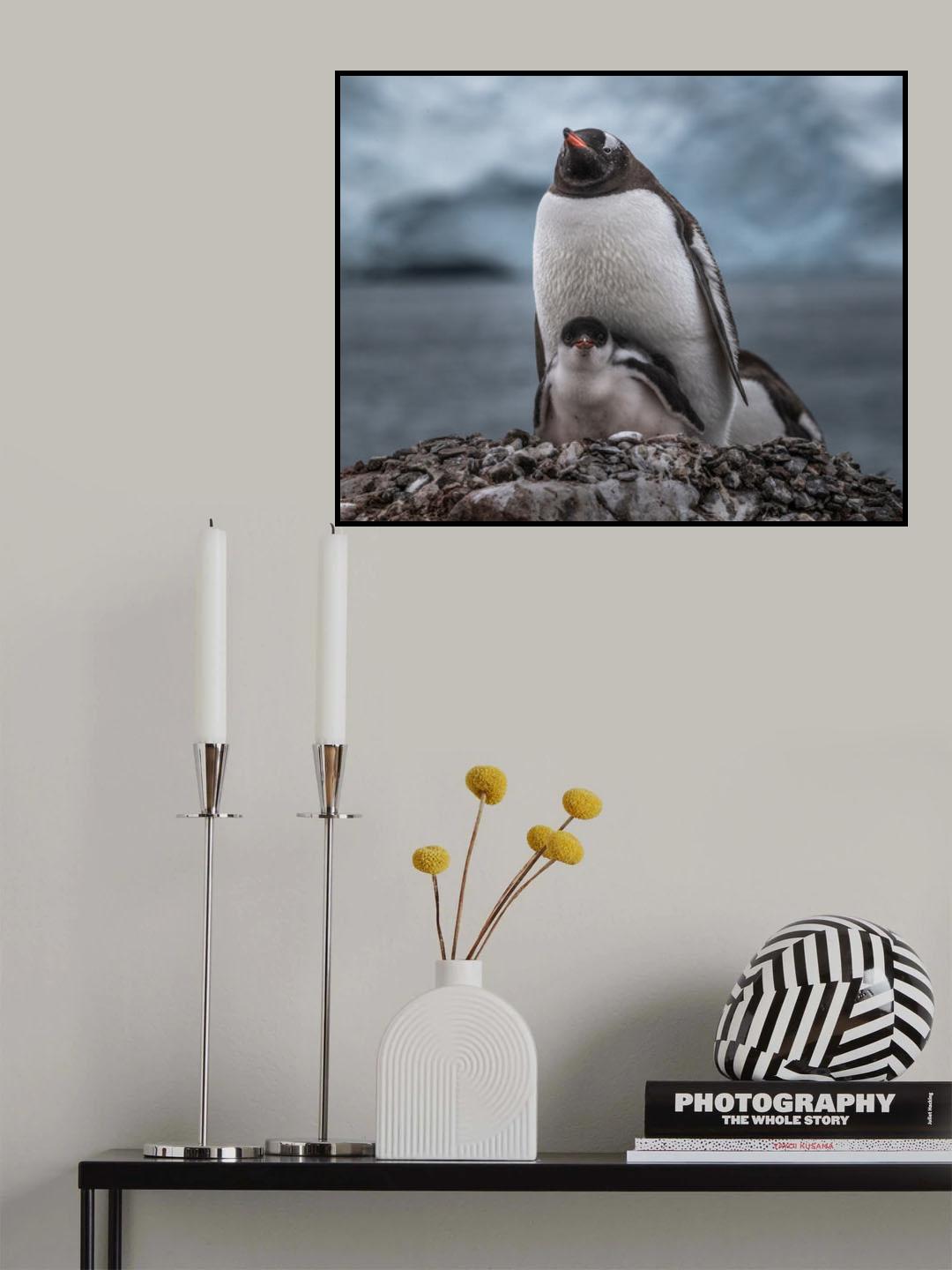 *** Poster och Canvastavla