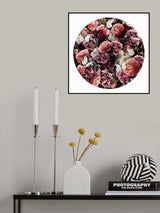 Paisely Blooms Poster och Canvastavla