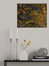 autumn way Poster och Canvastavla