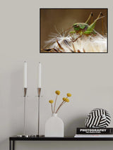 King of his domain Poster och Canvastavla