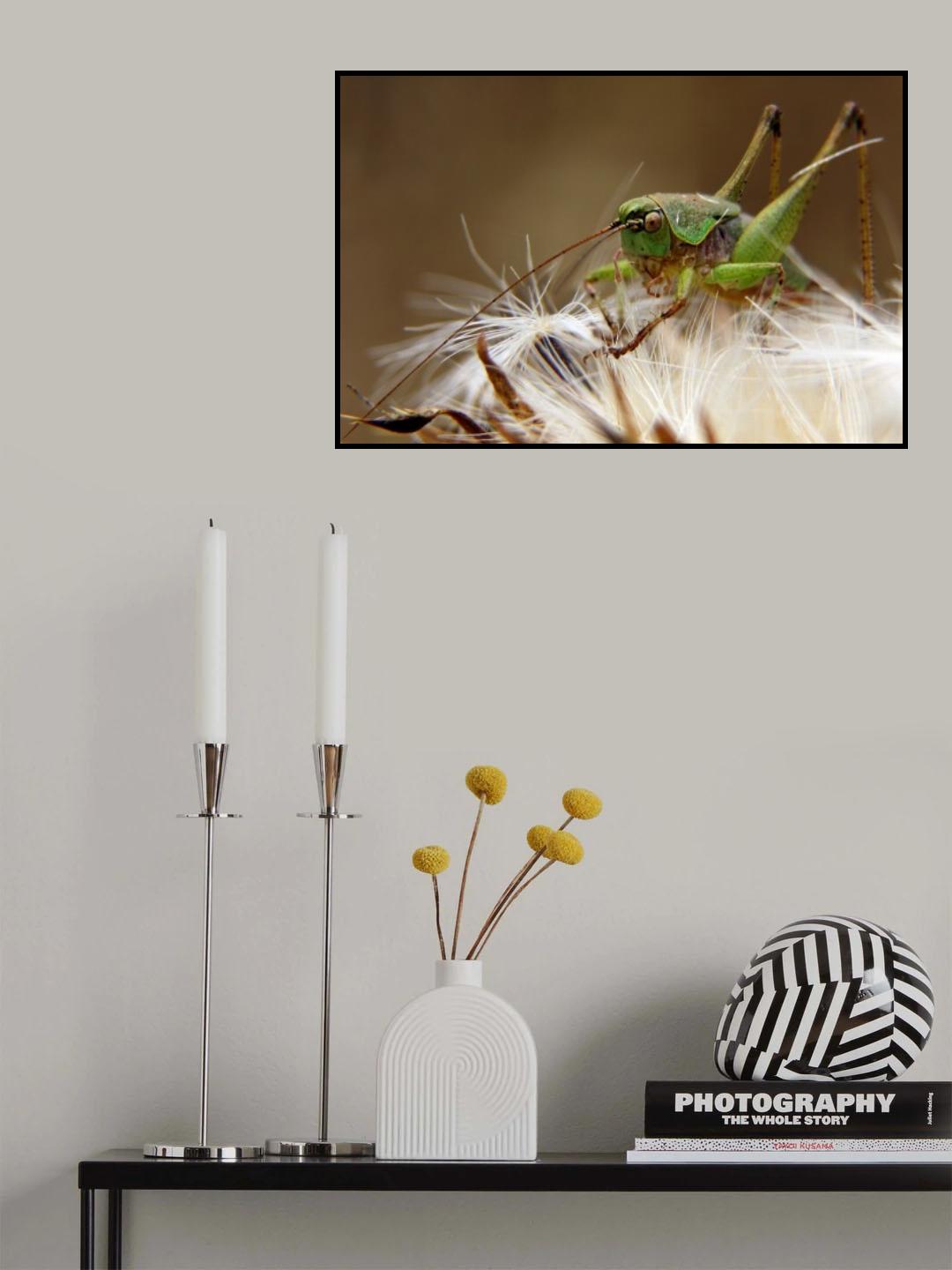 King of his domain Poster och Canvastavla
