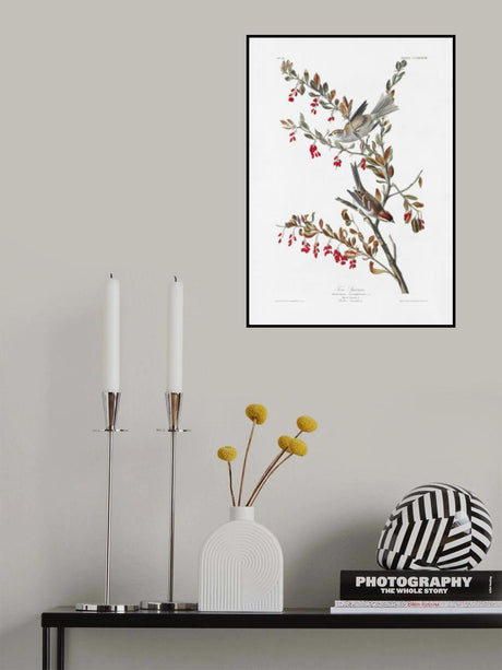 Tree Sparrow From Birds of America (1827) Poster och Canvastavla