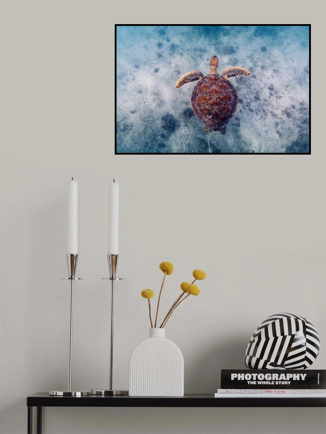 Australian Way Poster och Canvastavla