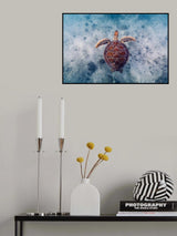 Australian Way Poster och Canvastavla