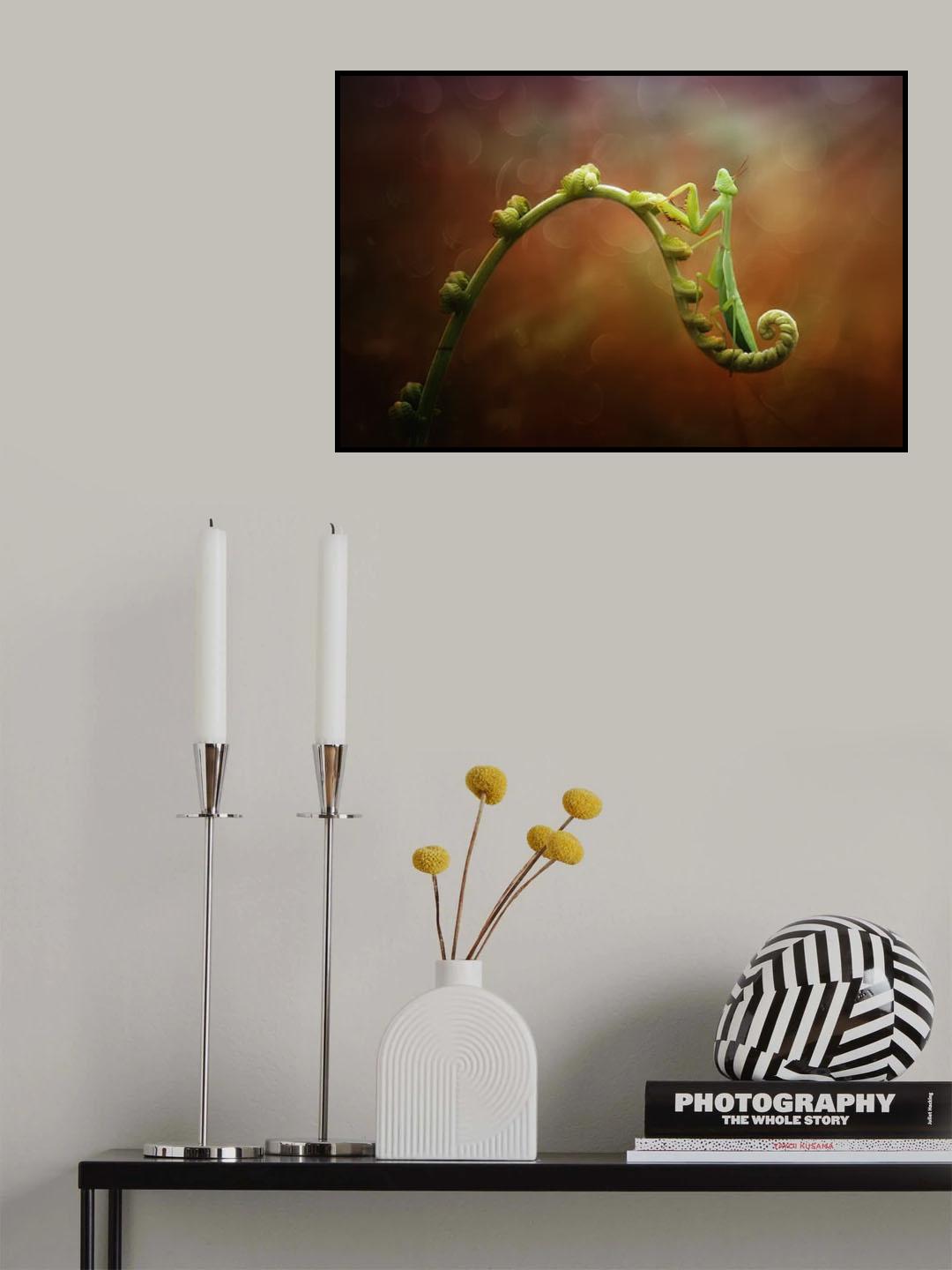 Relaxing mantis Poster och Canvastavla