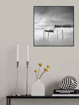 Shades of Gray Poster och Canvastavla