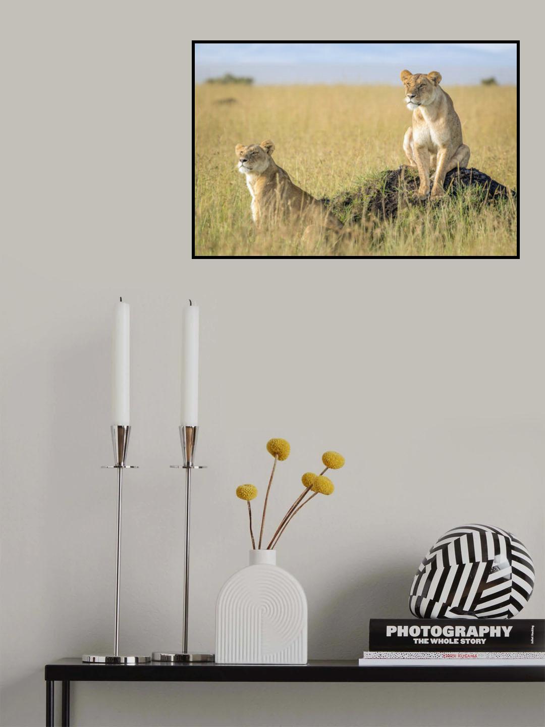 Just Hope Poster och Canvastavla