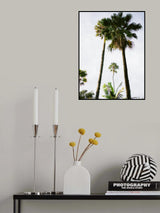 Find me under the Palm Tree Poster och Canvastavla