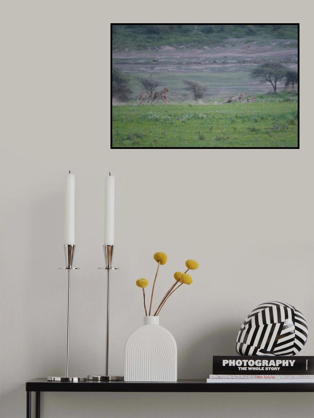 Family Chase Poster och Canvastavla