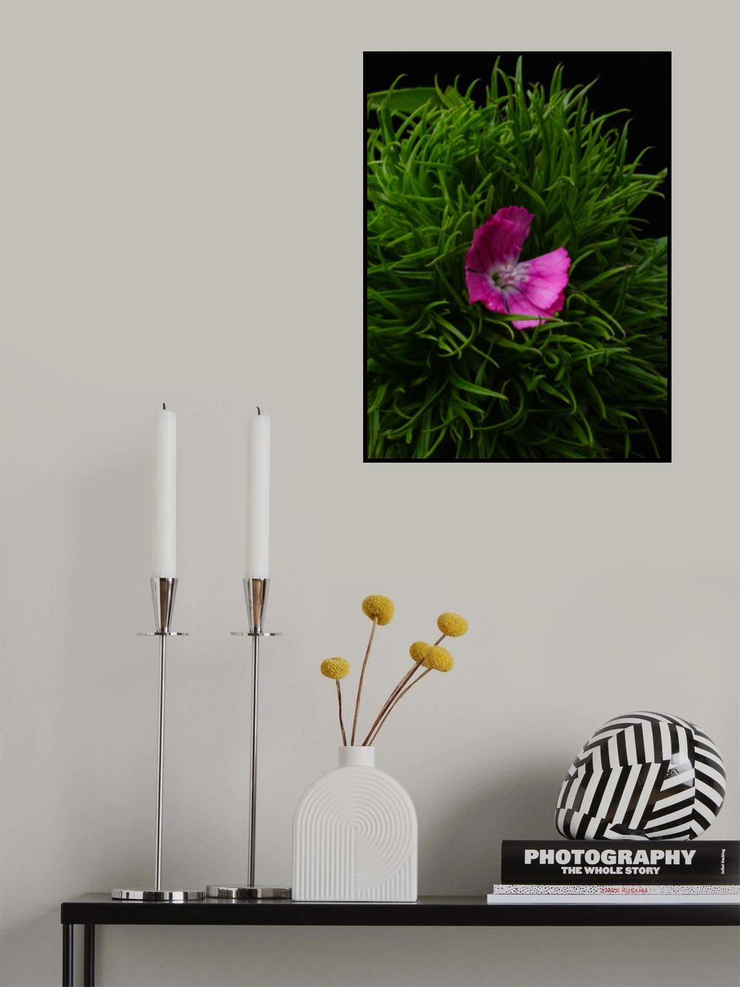 spring flower Poster och Canvastavla