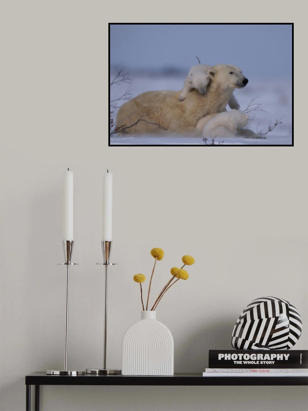 Mum and Cubs Poster och Canvastavla