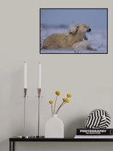 Mum and Cubs Poster och Canvastavla