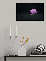Pink gem Poster och Canvastavla