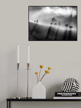 Light at Cukul Poster och Canvastavla