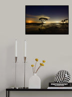 Moonrise Poster och Canvastavla