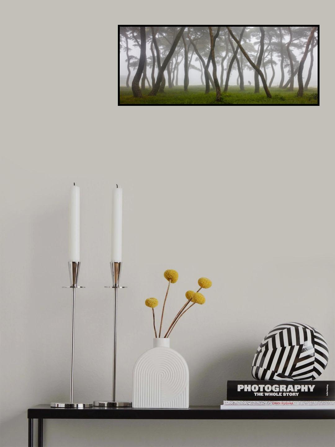 Pine Grove in Fog-4 Poster och Canvastavla