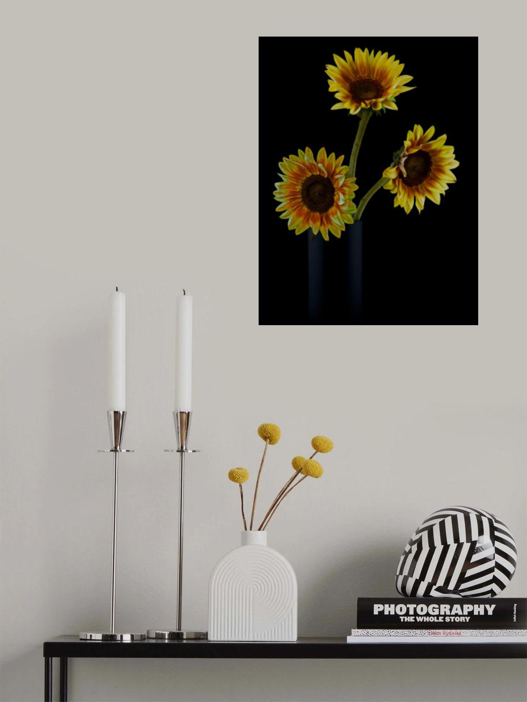 Sunflowers in Shadows Poster och Canvastavla