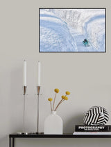Heading South Poster och Canvastavla