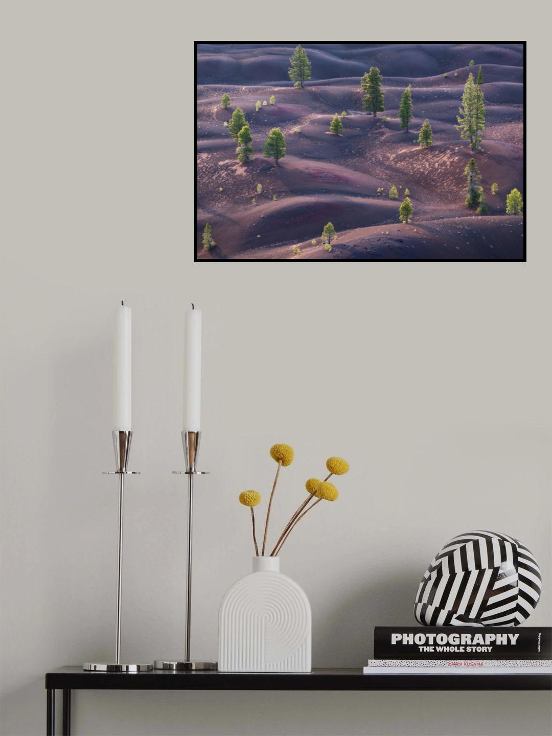 Painted Dunes Poster och Canvastavla