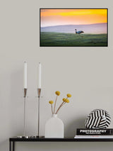 Mongolian landscape Poster och Canvastavla