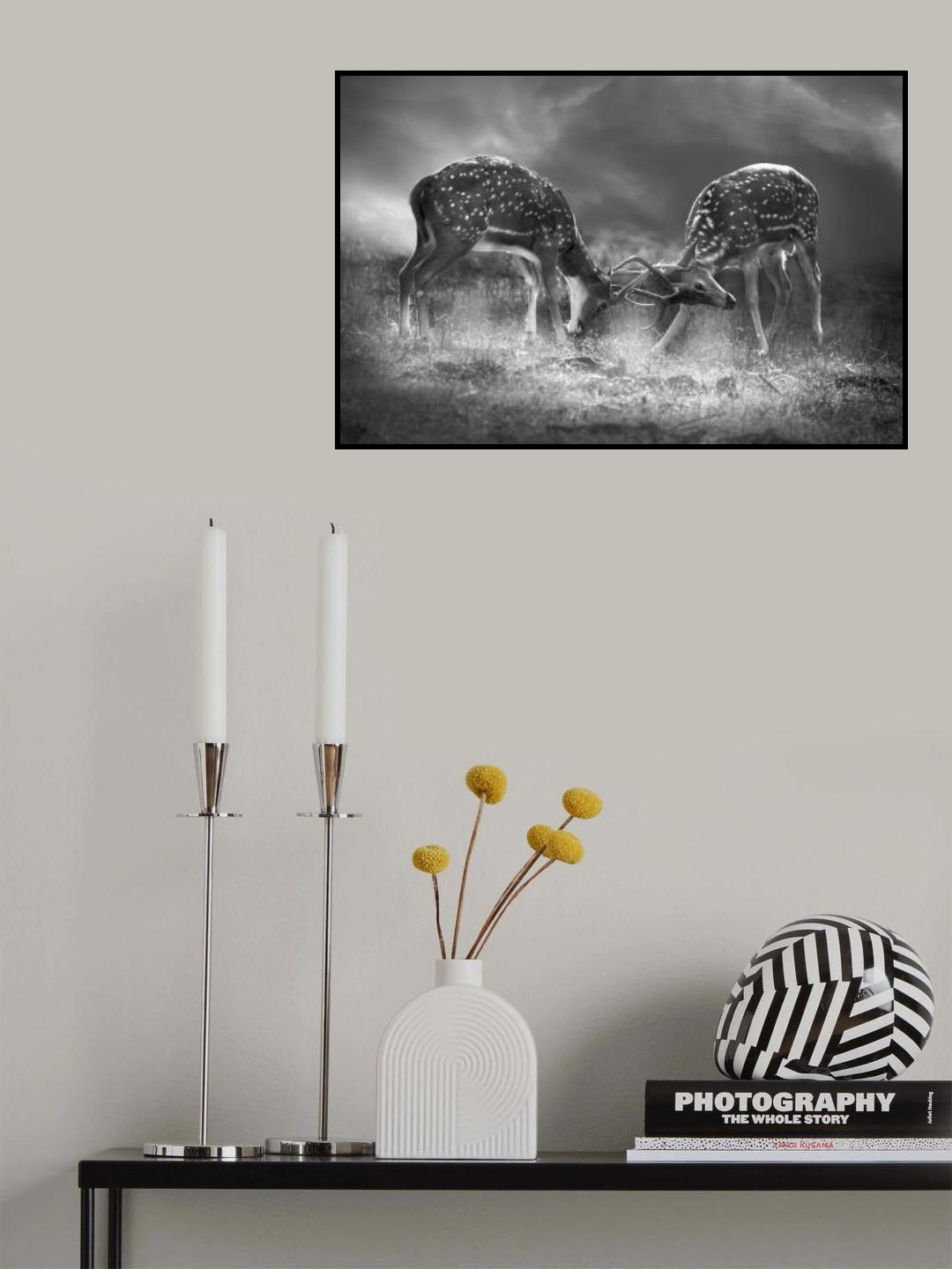 Battle for supremacy Poster och Canvastavla