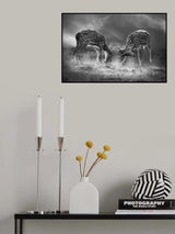 Battle for supremacy Poster och Canvastavla