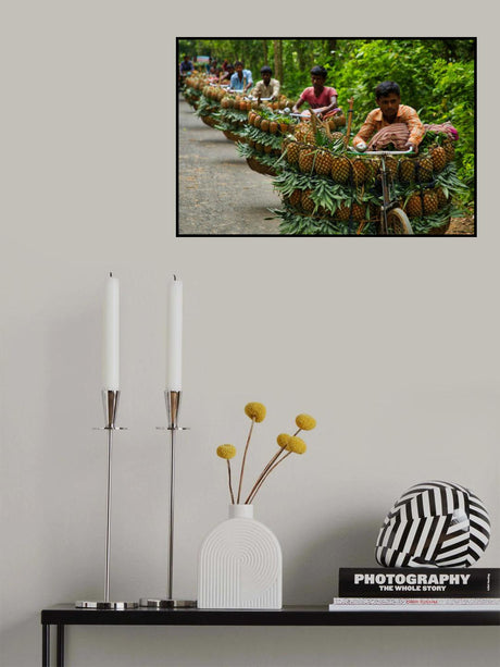 Transporting pineapples Poster och Canvastavla