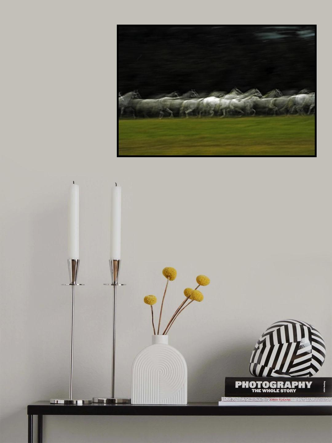White shadow Poster och Canvastavla