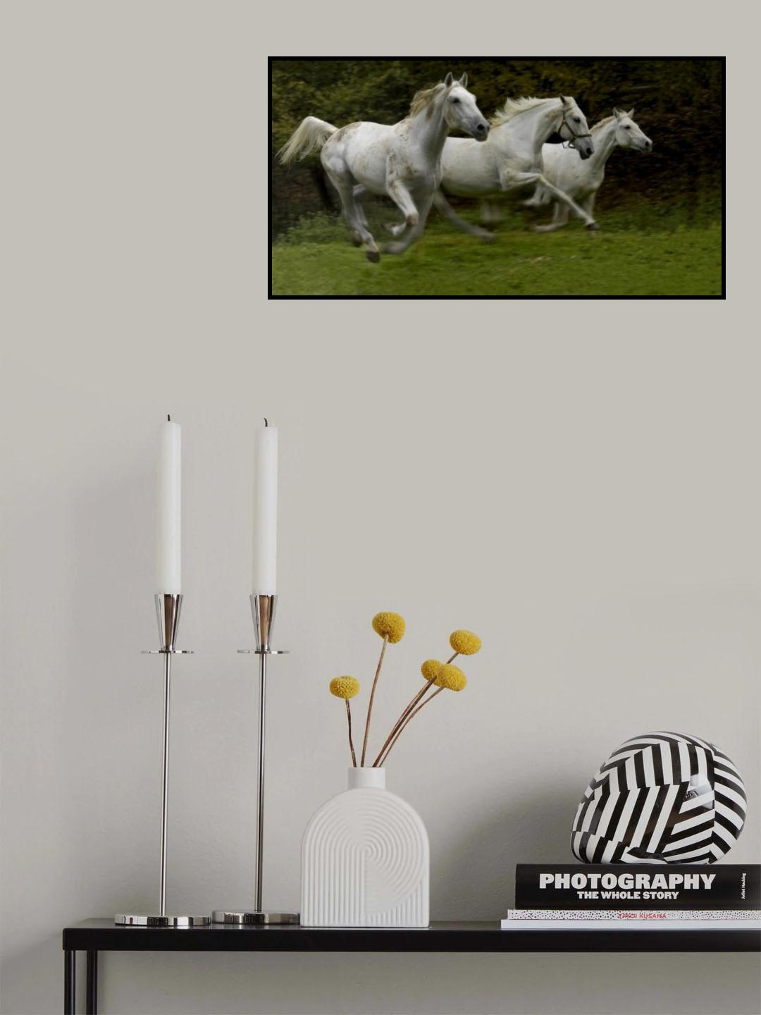 Flow of spirits Poster och Canvastavla
