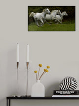 Flow of spirits Poster och Canvastavla