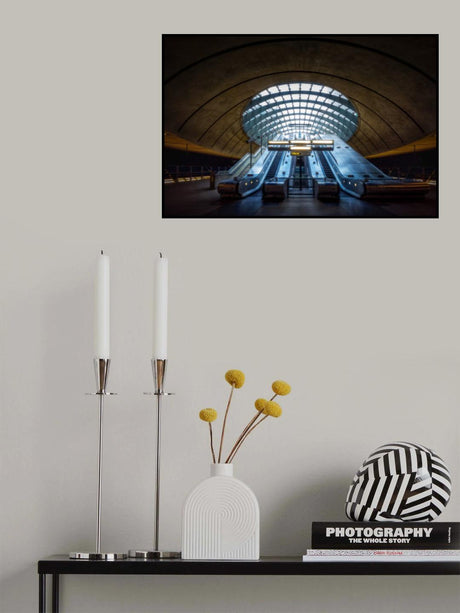 Jellyfish Poster och Canvastavla