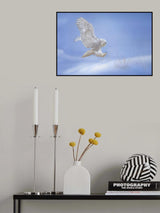 Snow Owl Poster och Canvastavla