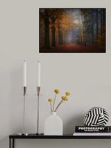 The magic of forest colors Poster och Canvastavla