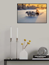 Jigori Poster och Canvastavla