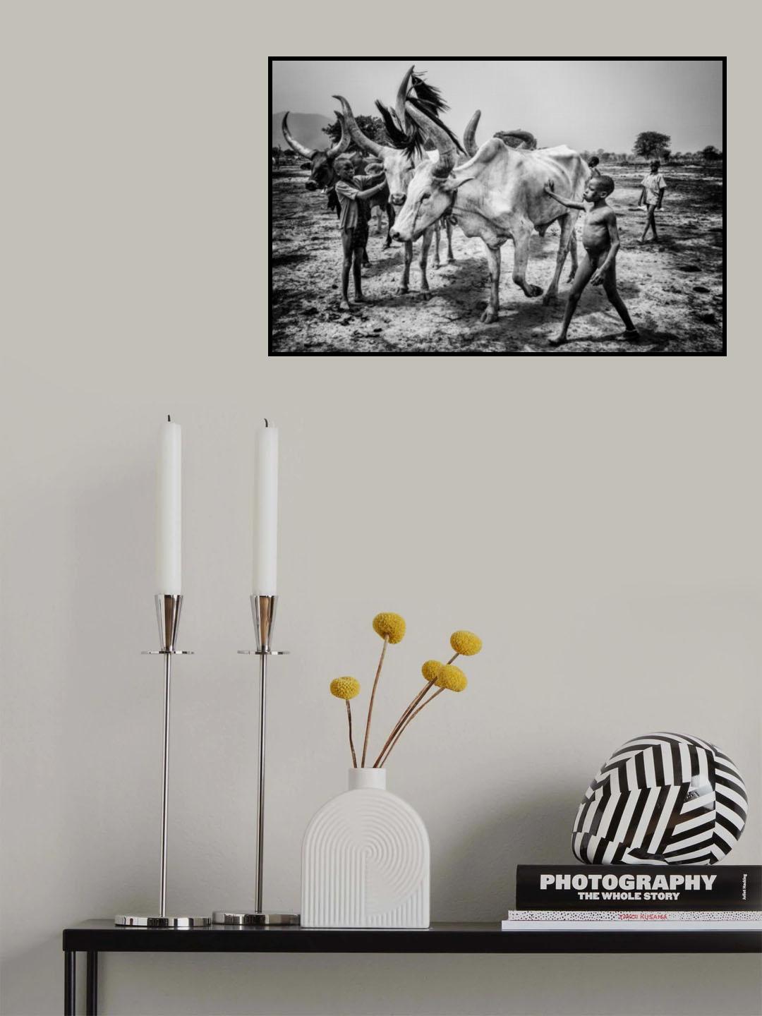 Mundari tribe children taking care of the cattle - South Sudan Poster och Canvastavla