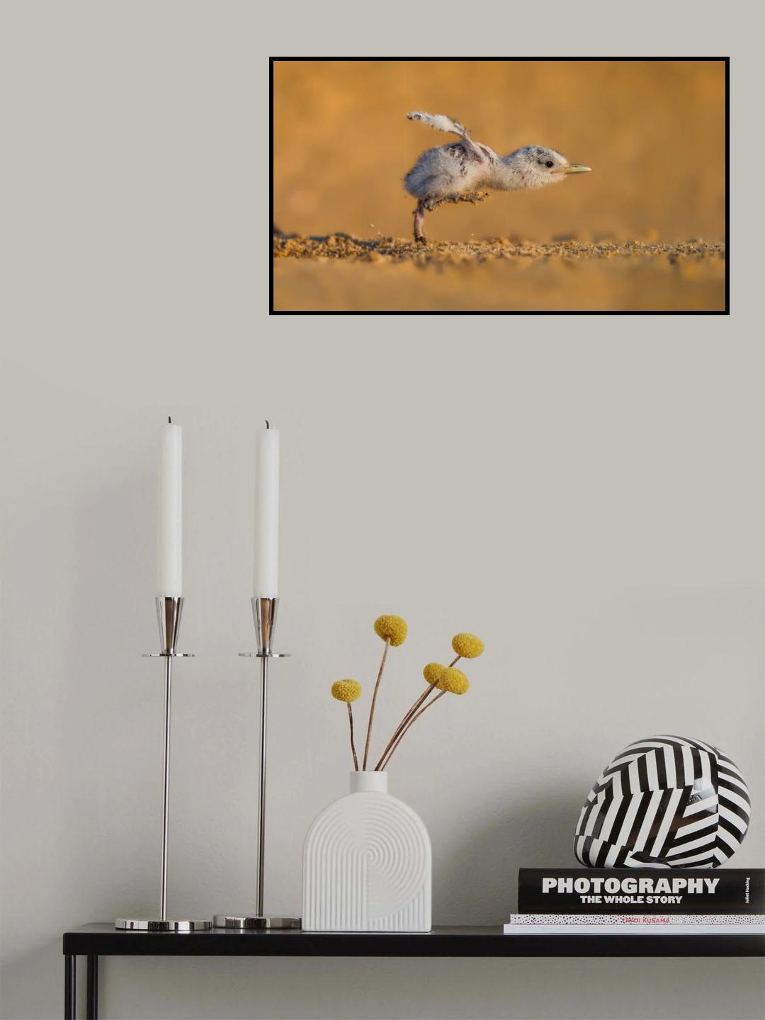 Full Speed Poster och Canvastavla