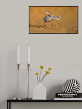 Full Speed Poster och Canvastavla