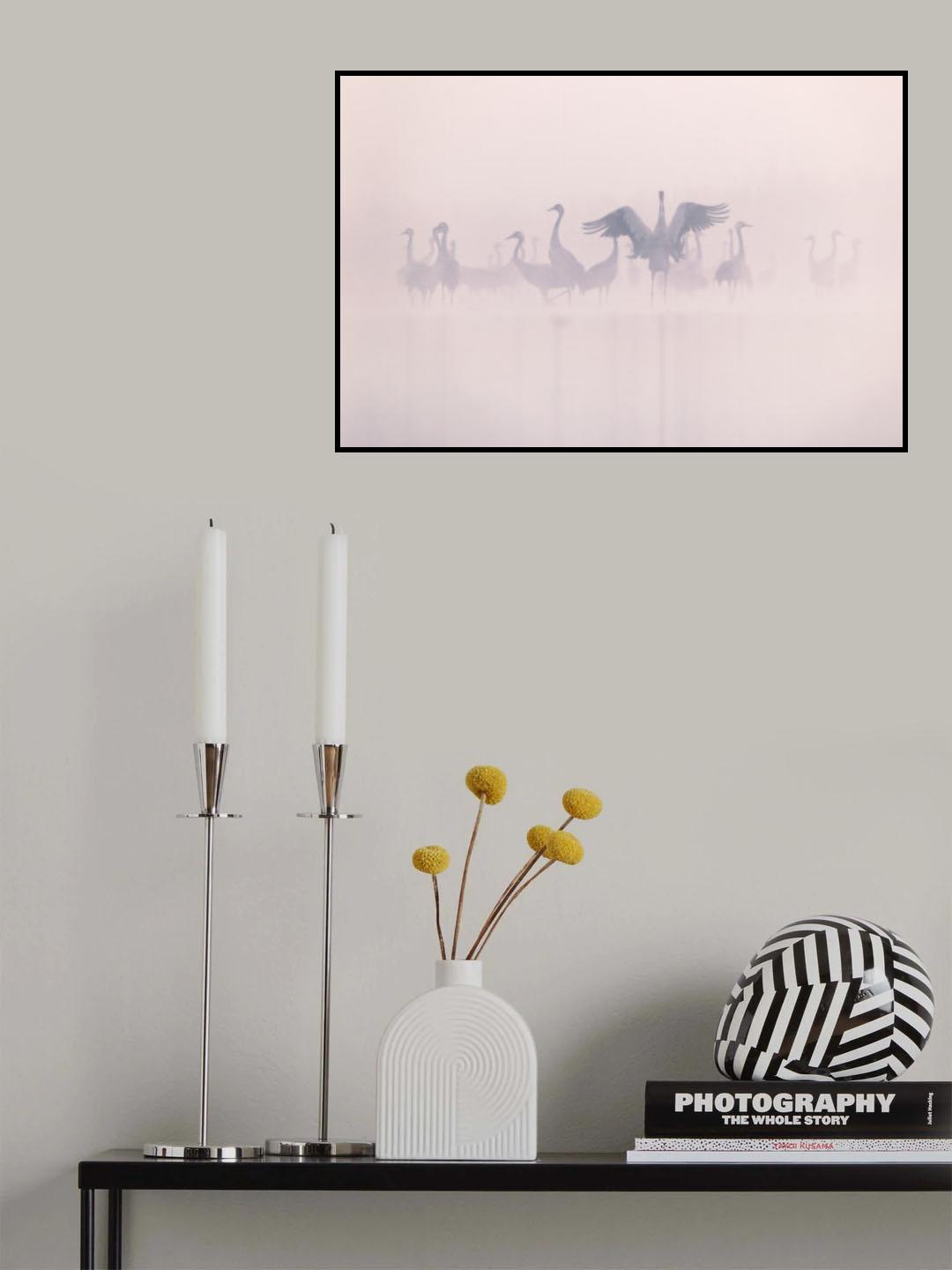 Common Cranes in the morning mist Poster och Canvastavla