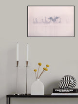 Common Cranes in the morning mist Poster och Canvastavla