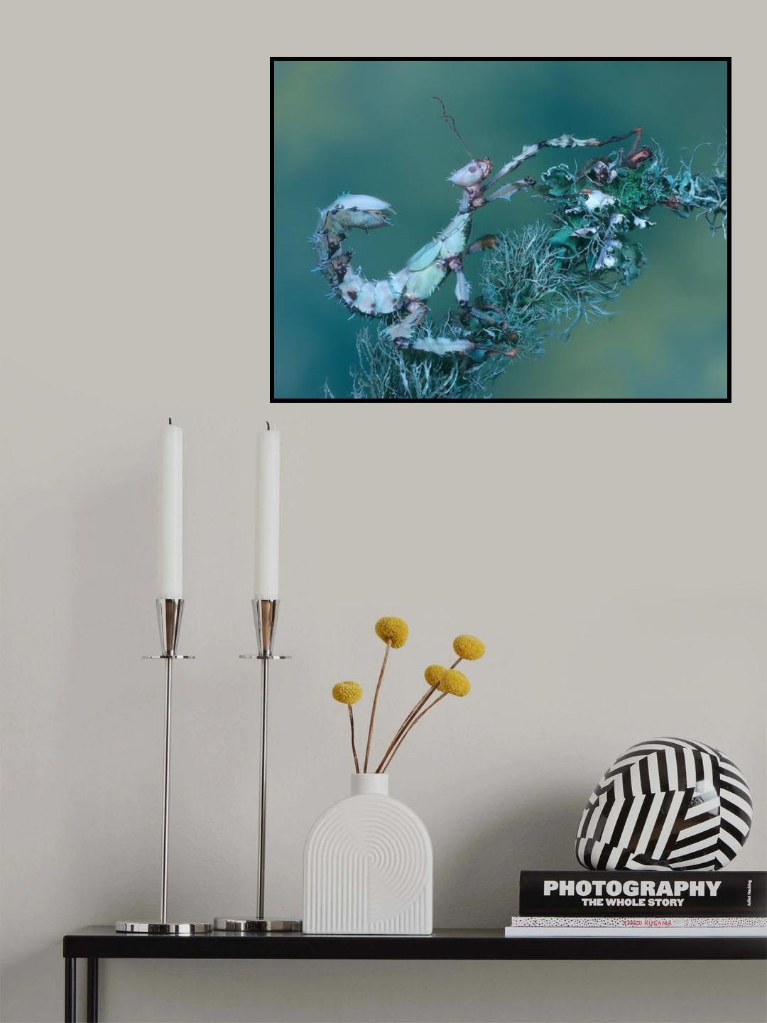 Spiny leaf insect Poster och Canvastavla