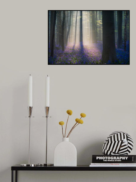 Velvet Light Poster och Canvastavla