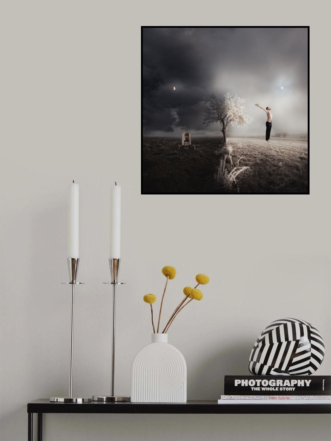 Balance Poster och Canvastavla