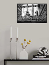 The Net ! Poster och Canvastavla